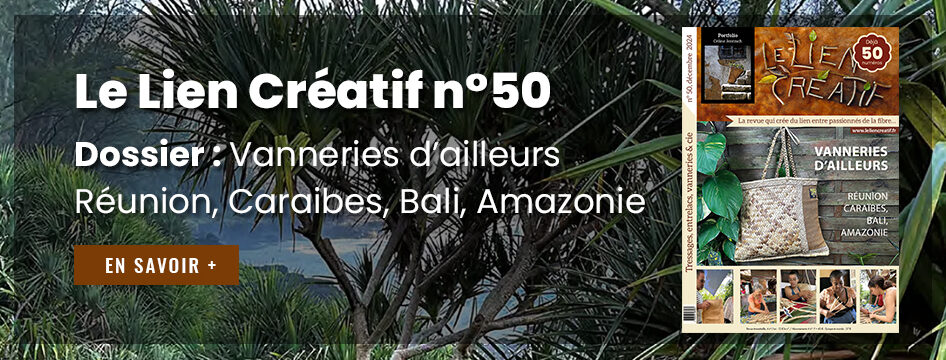 Le Lien Créatif n°50